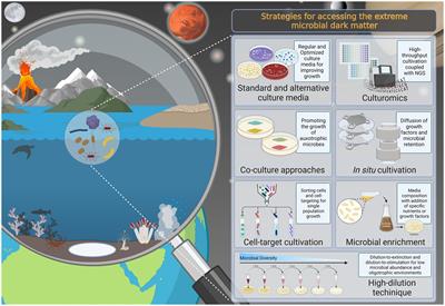 Shedding light on the composition of extreme microbial dark matter: alternative approaches for culturing extremophiles